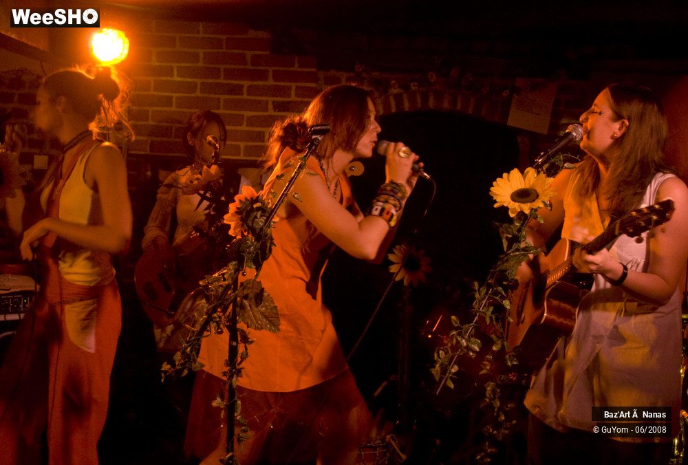 11/35 photos du spectacle Baz'Art à Nanas